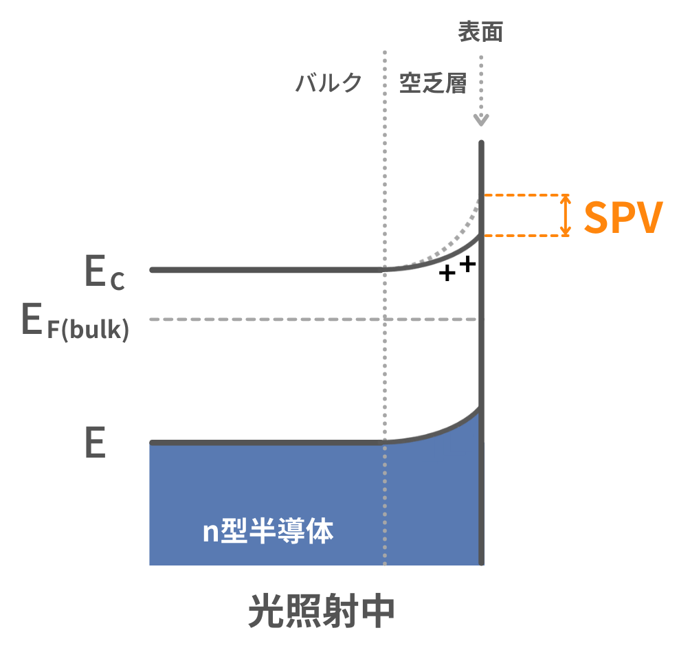 SPV 原理
