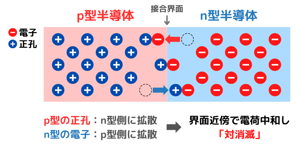 pn接合における多数キャリアの拡散と対消滅