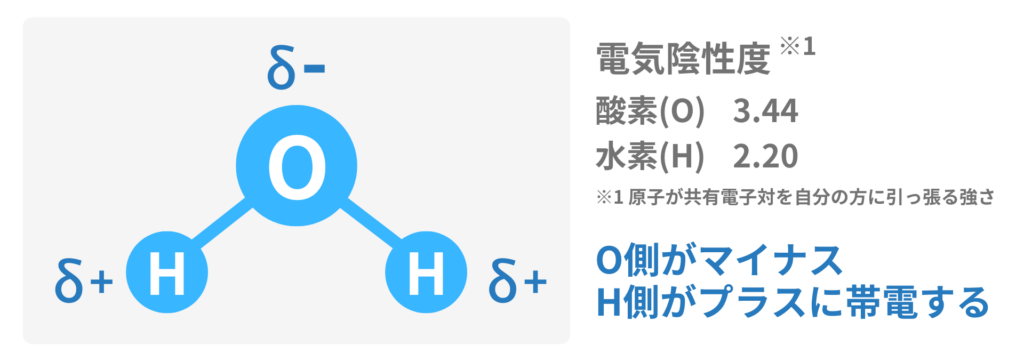 電気陰性度による水分子の極性