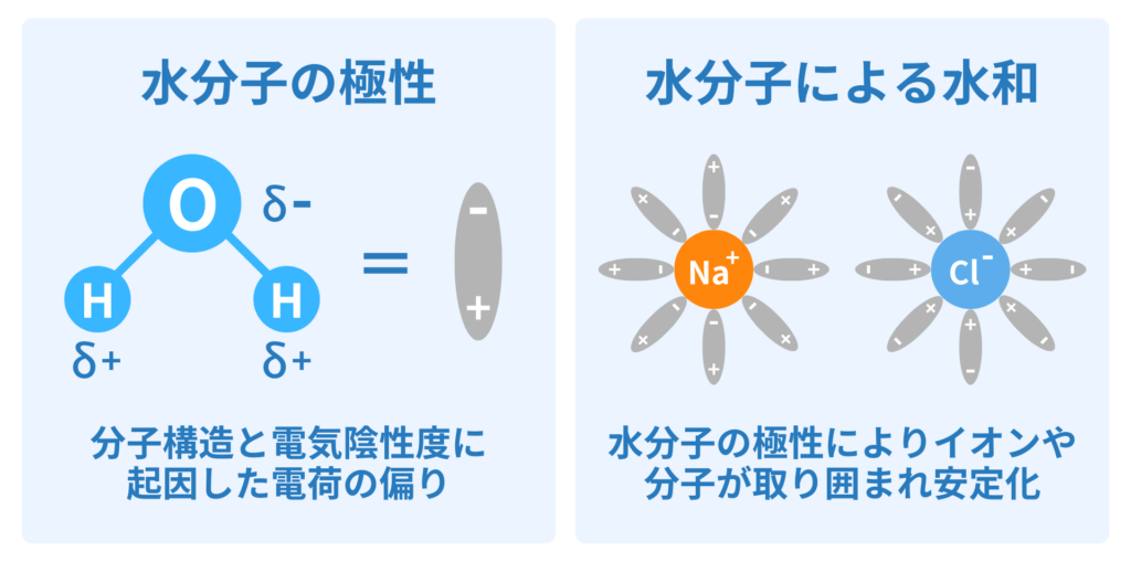 水分子の極性と水和