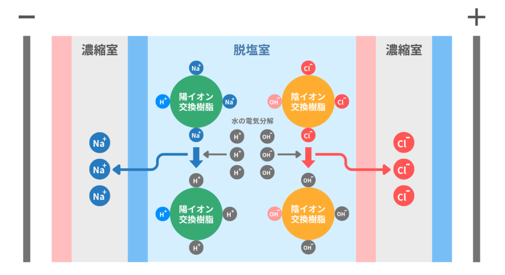 イオン交換樹脂の再生：電気式脱イオン装置