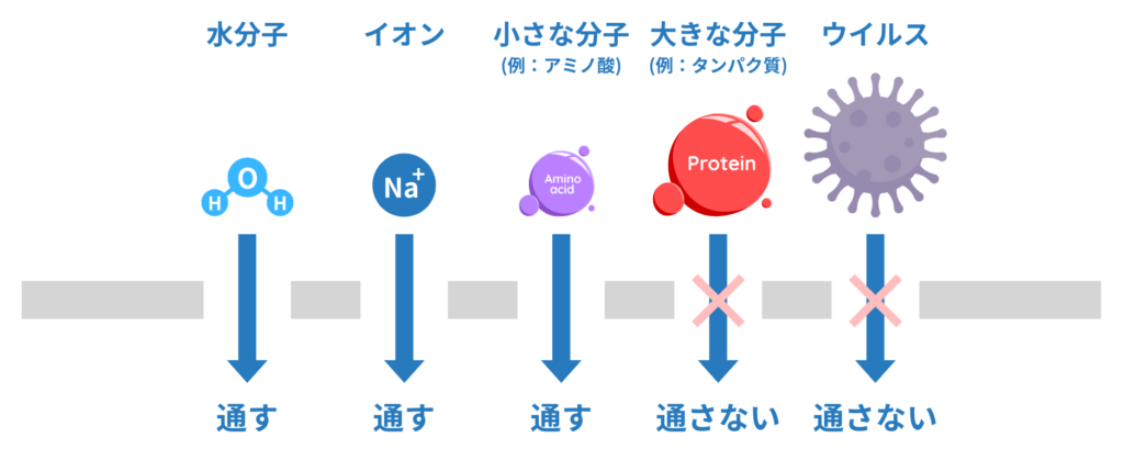 限外ろ過膜(UF膜)の原理と超純水