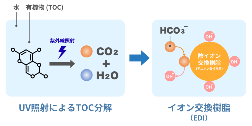 イオン交換樹脂によるCO2除去:HCO3-の除去